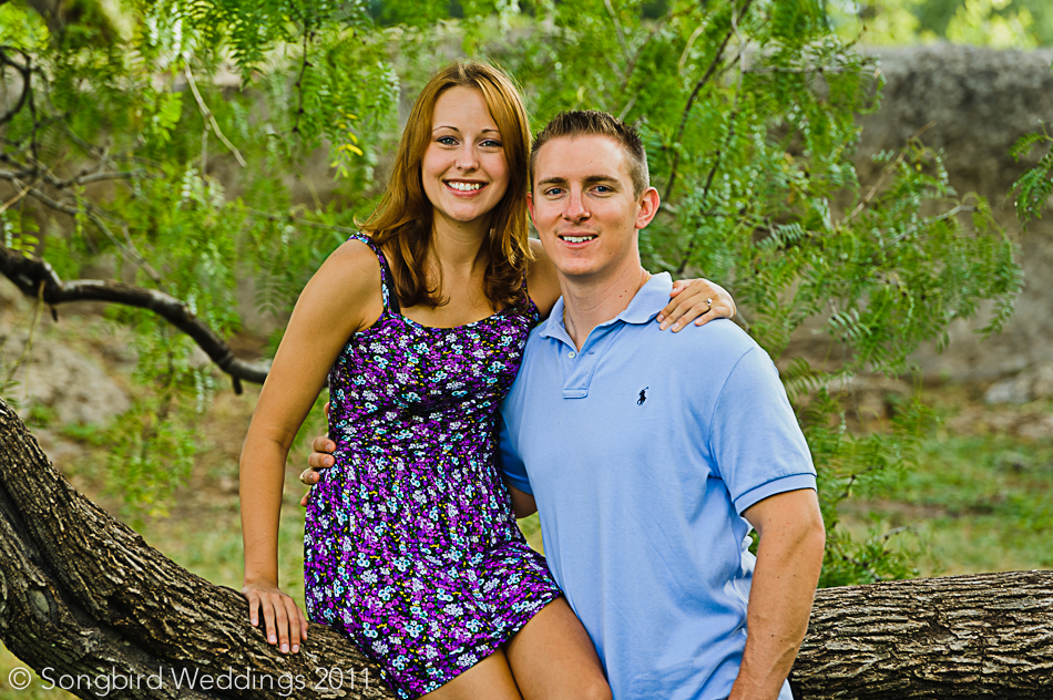 Engaged couple sitting on tree in park