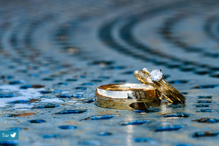 Gold and diamond wedding rings at Montesino Ranch by austin wedding photographer