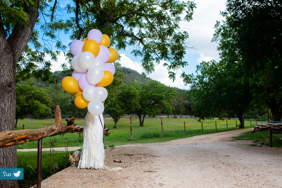 First look, hiding behind balloons while waiting for groom at Montesino Ranch by austin wedding photographer