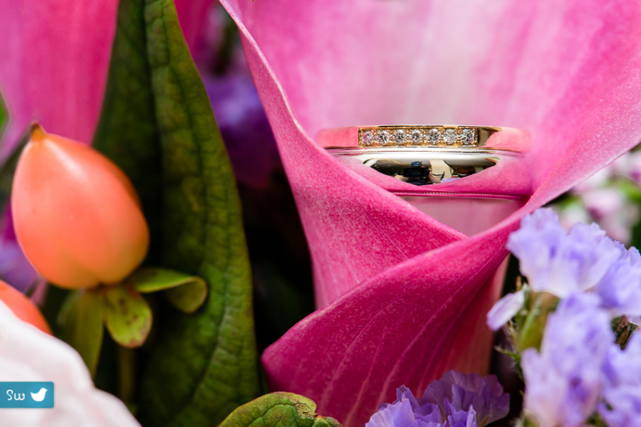 Wedding rings by Avant Garde Jewelers by Austin Wedding Photographer