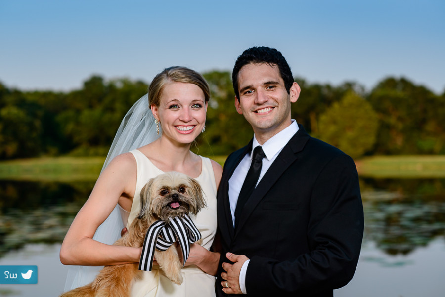 bride and groom with Shih Tzu