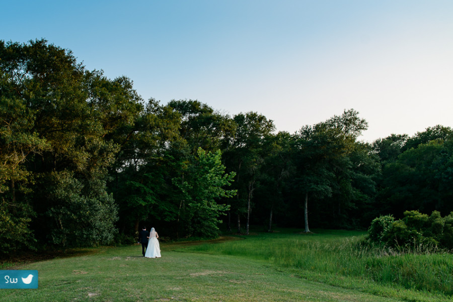 landscape by austin wedding photographer