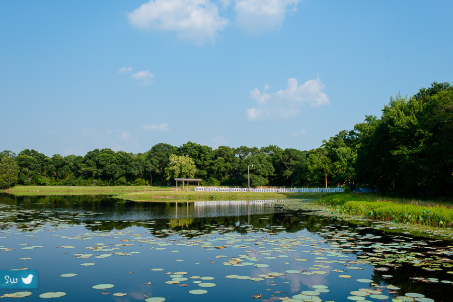 texas summer wedding by the lake