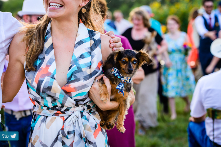 Dog at ceremony - Montesino Ranch by Austin Wedding Photographer