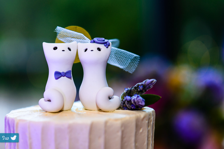 cat cake toppers by Portrait of bride and groom by Austin Wedding Photographer at Barr Mansion