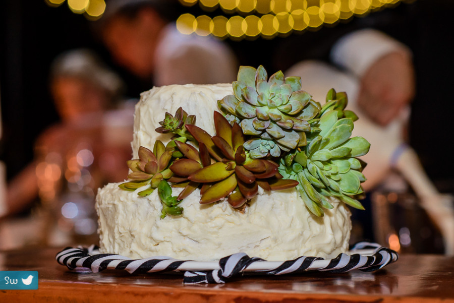 Austin Wedding Photographers reception cake with succulents