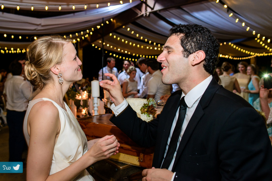 cake cutting by austin wedding photographers